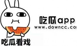 网红吃瓜APP,揭秘娱乐圈幕后真相，带你领略明星生活点滴